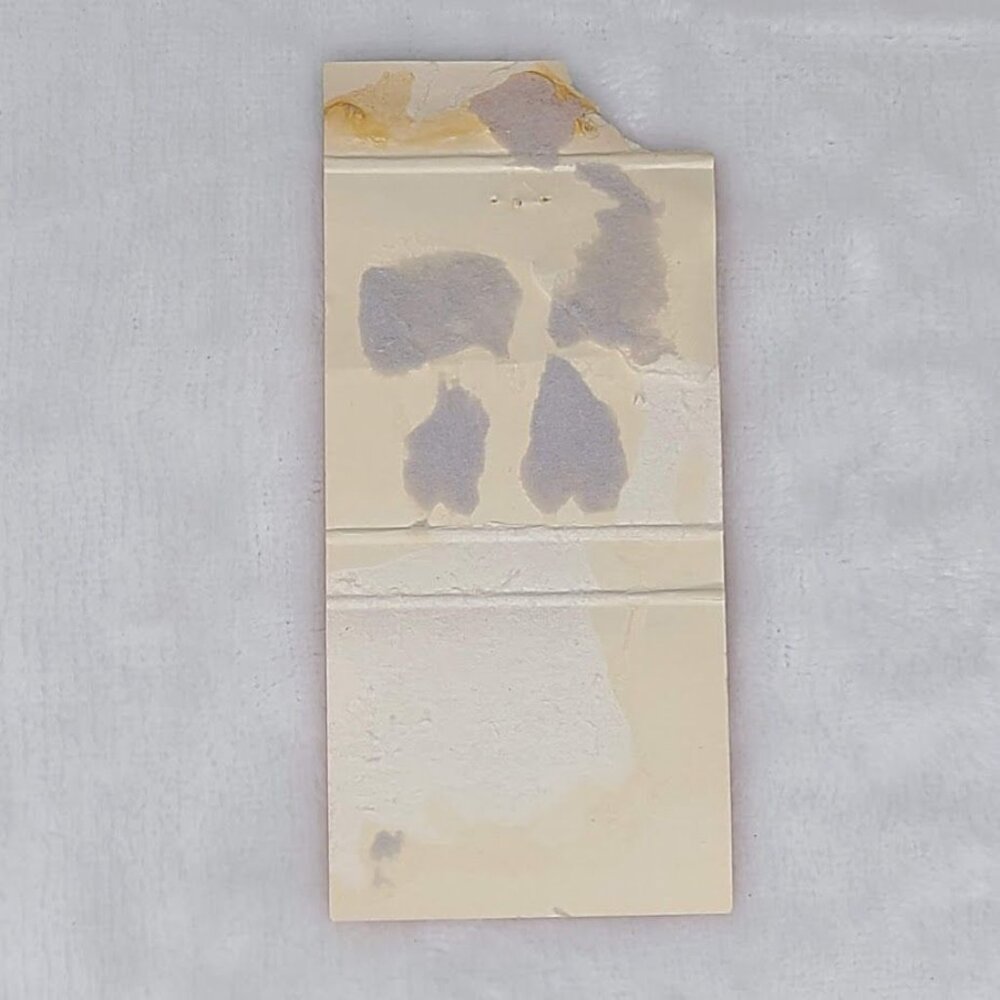 Front Strike Matchbook Cover Senor Pico Mexican Restaurant San Francisco LA CA - Picture 5 of 5